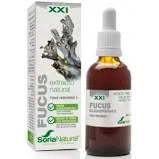 XXI (50ml)