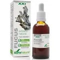 XXI (50ml)